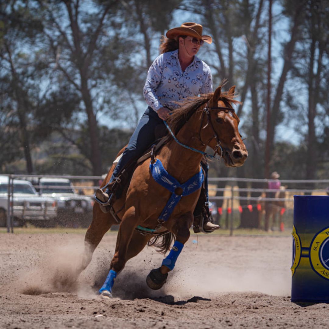 Royal Blue Horse Sports Boots