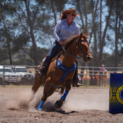 Royal Blue Horse Sports Boots