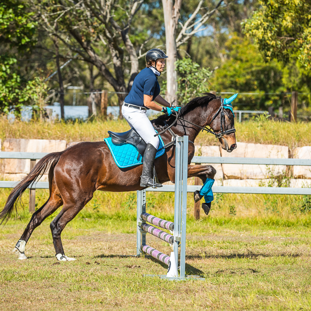 Blue All Purpose Saddle Pad