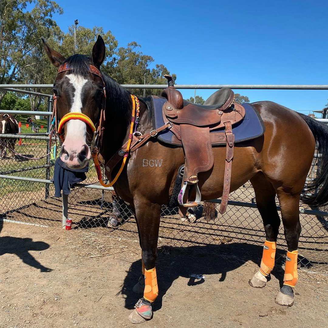 Orange horse boots