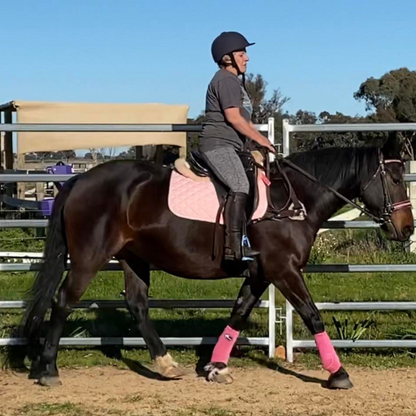 Baby Pink All Purpose Saddle Pad