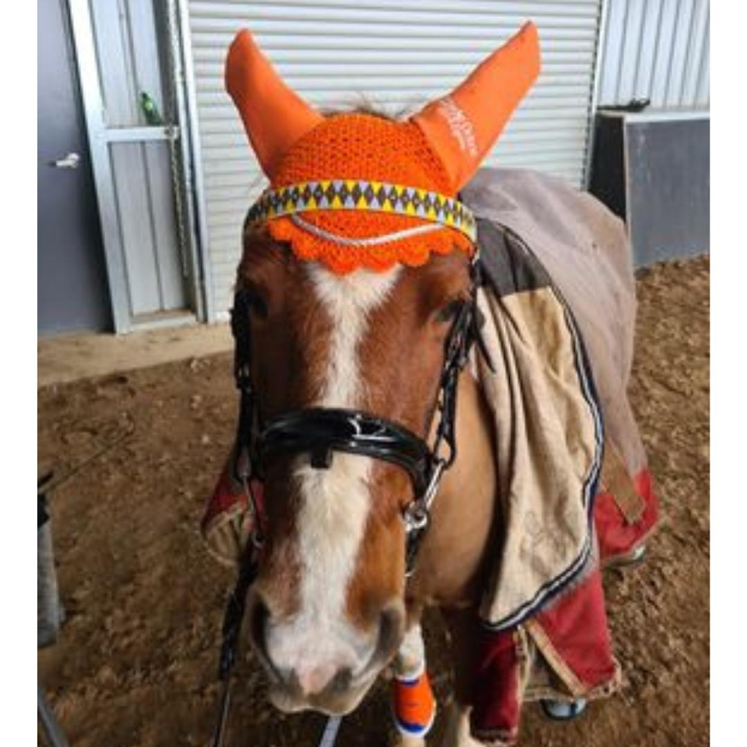 Orange Cotton Ear Bonnet