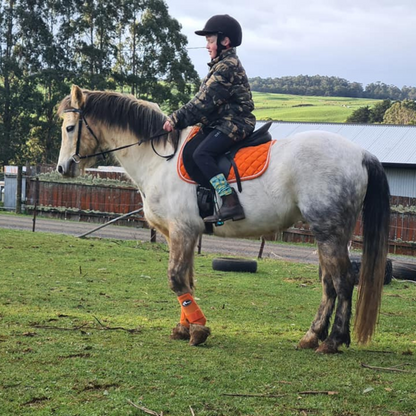 Orange All Purpose Saddle Pad