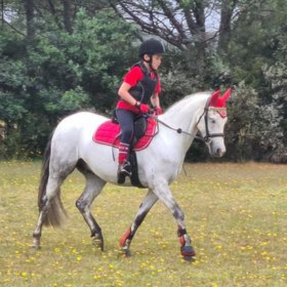 Red matchy pony set